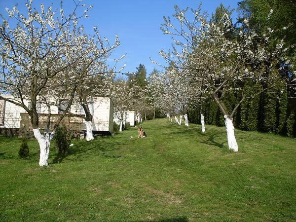 Czeresniowy Sad Villa Wiselka Bagian luar foto